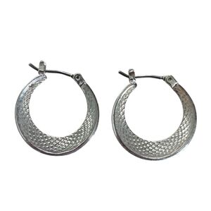 Elegant Silver Hoop Earrings
